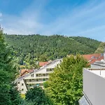 Black Forest Appartement