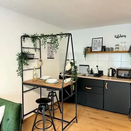 Black Forest Apartment *