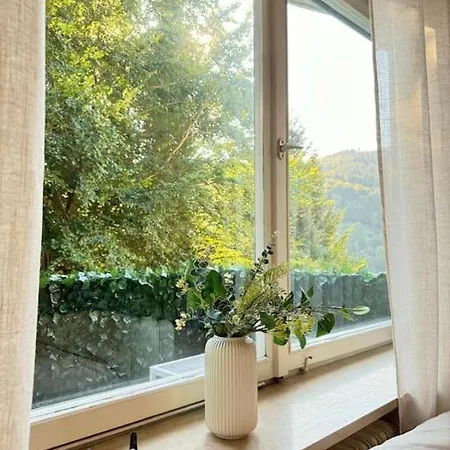 Black Forest * Bad Wildbad