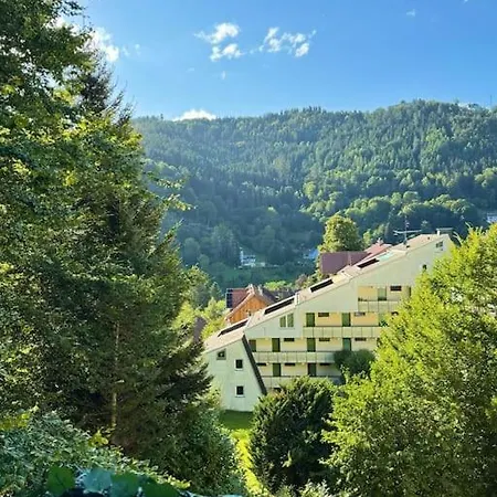 Black Forest Apartment