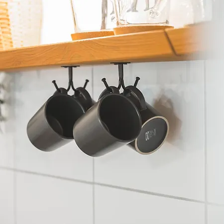 Black Forest * Bad Wildbad