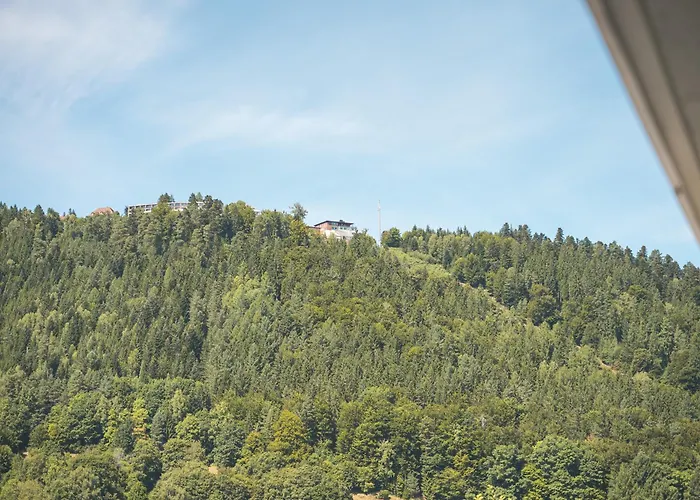 Black Forest Appartement