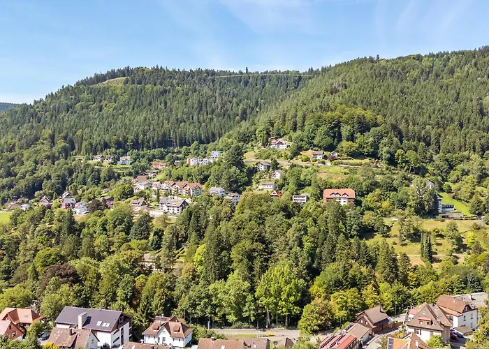 Appartement Black Forest *